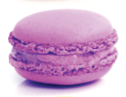 LEE'S MACARONS BLUEBERRY